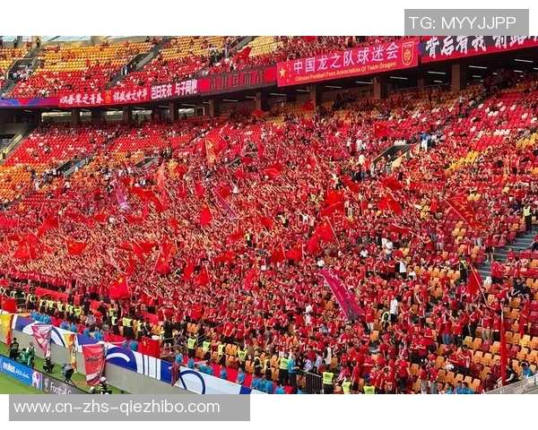 中国与巴西篮球赛场冲突引发热议球迷热情与暴力交织的背后故事